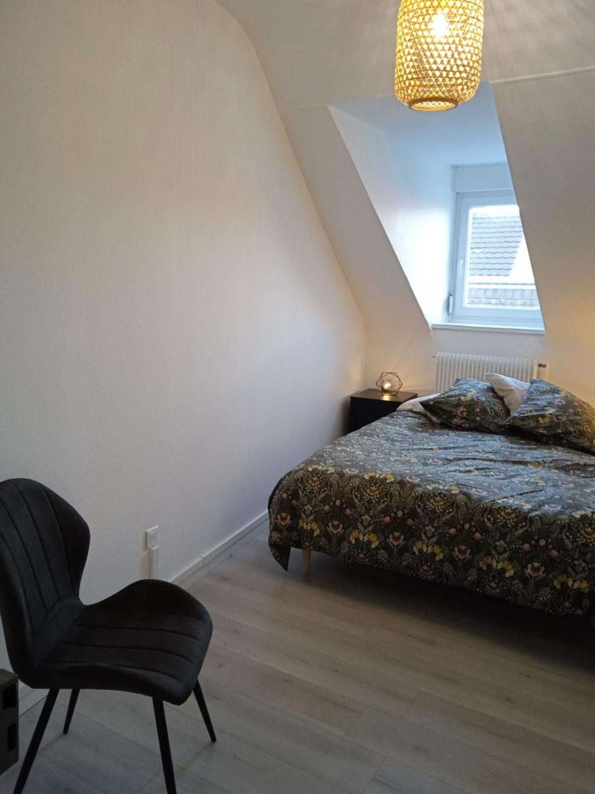 La Mulhousienne F3 Centre Ville 牟罗兹 外观 照片